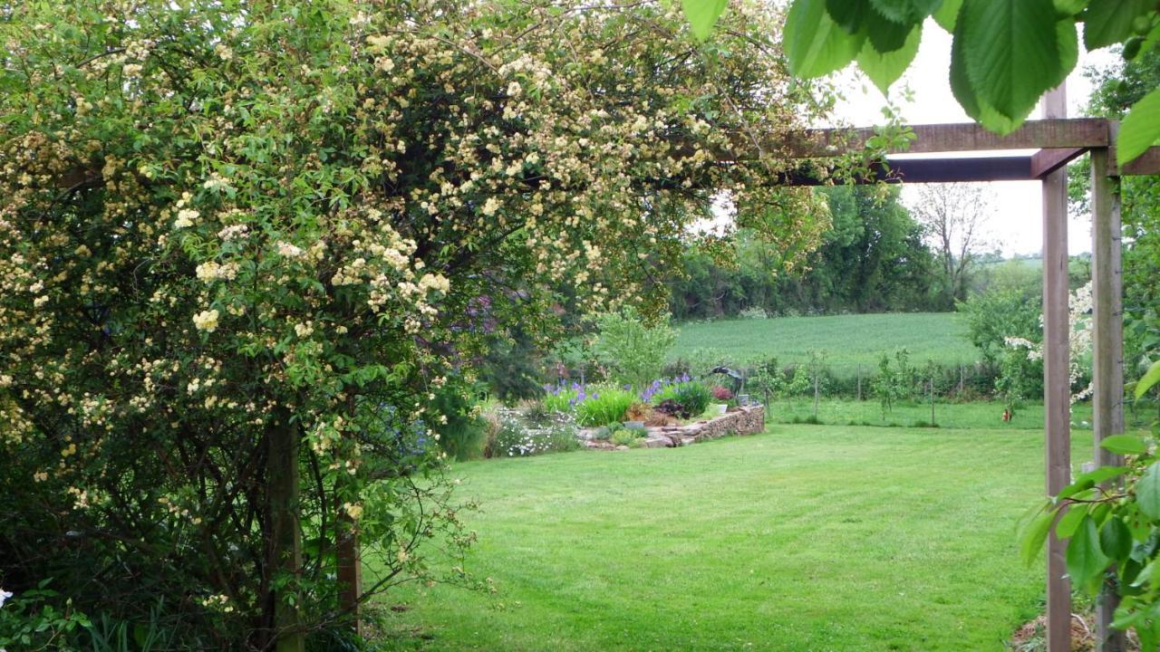 Les Cerisiere Bed & Breakfast Cheffois Bagian luar foto