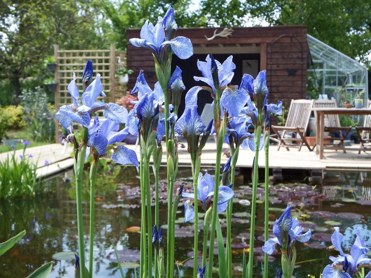Les Cerisiere Bed & Breakfast Cheffois Bagian luar foto