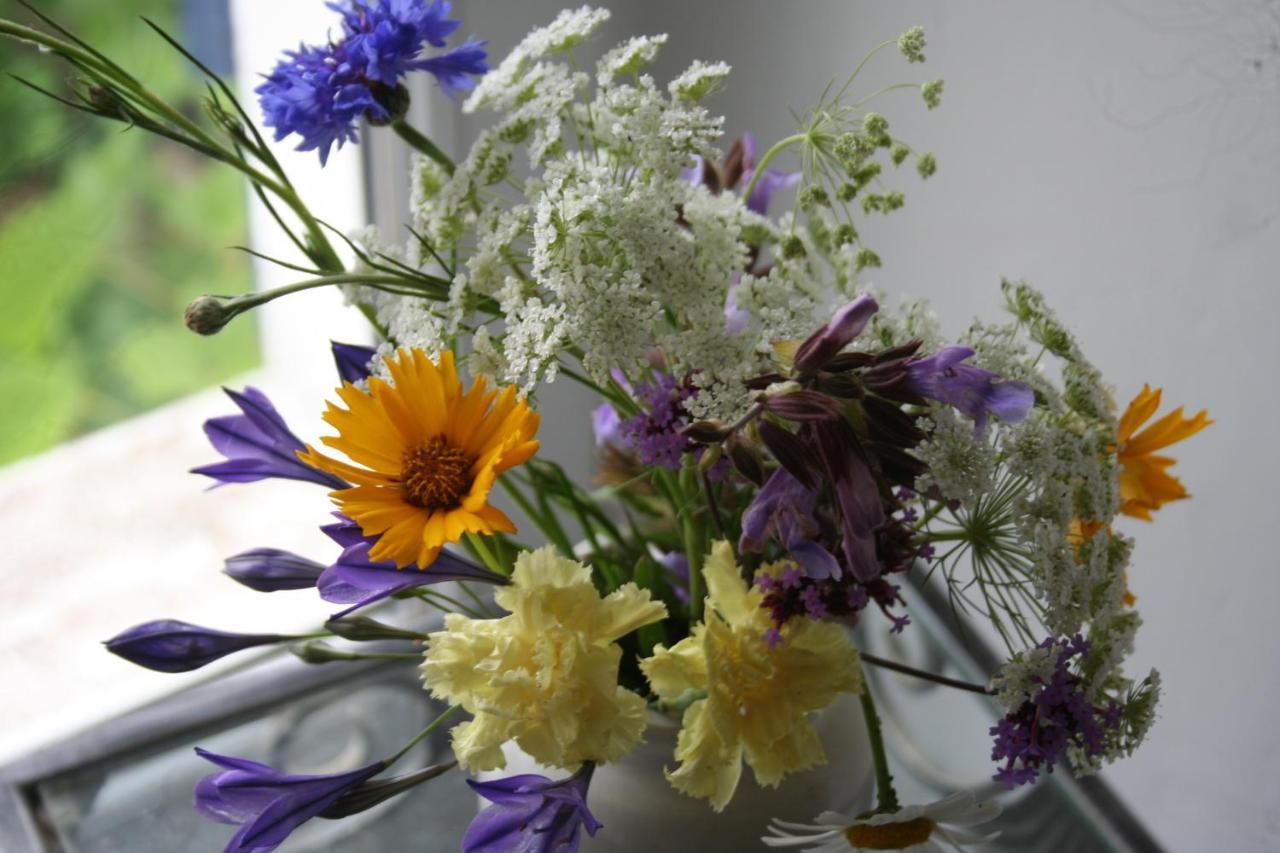 Les Cerisiere Bed & Breakfast Cheffois Bagian luar foto